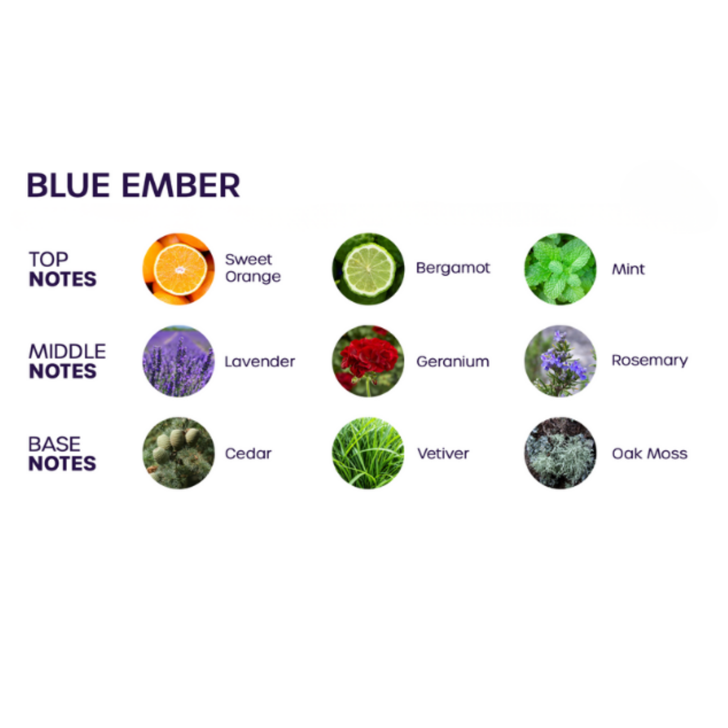 Love In Bloom Blue Ember