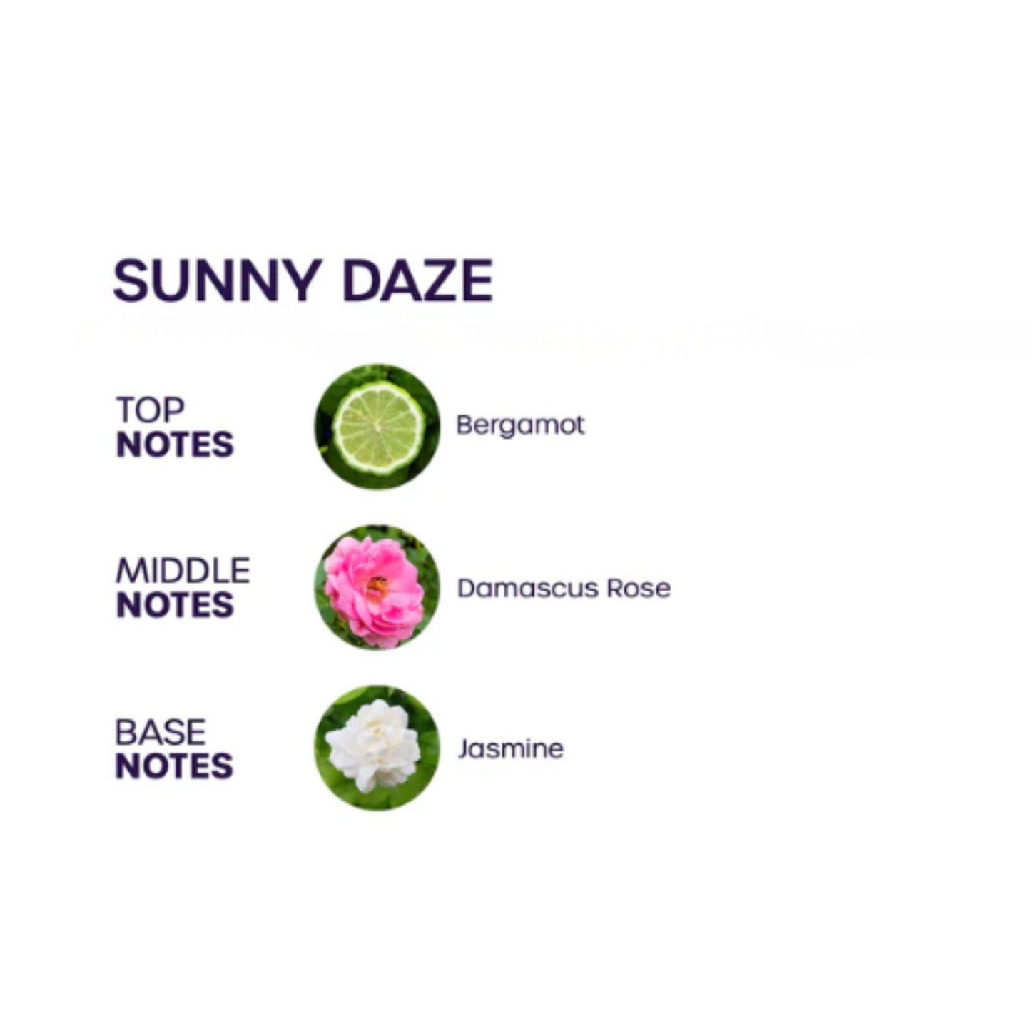 Love In Bloom Sunny Daze Perfume